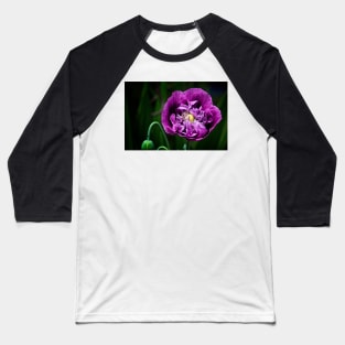 Pretty Purple Poppy Flower Baseball T-Shirt